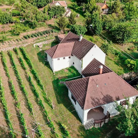 Hillside Vendeghaz A Szent Gyoergy-hegyen Raposka